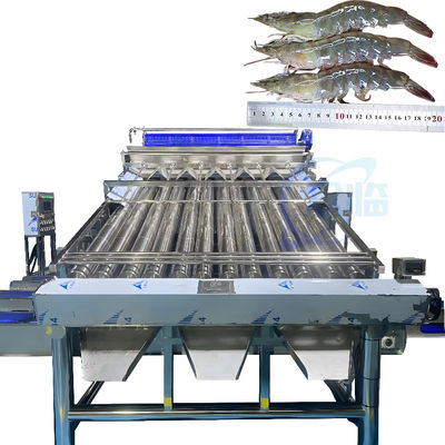 Ligne de décapage de crevettes entièrement automatique pour la transformation des crevettes Machine de décapage et de tri des impuretés de crevettes