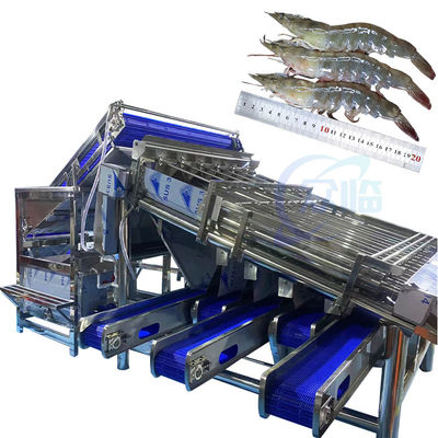 Machine de tri des crustacés machine de nettoyage et de tri des crevettes, broyage automatique des coquilles de crevettes, décapage et défilage