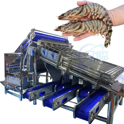 Équipement de fruits de mer Machine de pellicule de crevettes Machine de traitement de coquilles de crevettes Roller en acier inoxydable Gradeur rapide de crevettes Mac