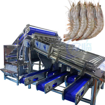 Bon prix Machine de tri et de tri automatique multi-fonctionnelle de poissons et de crevettes en ligne