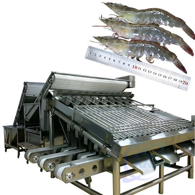 Bon prix Machines de traitement pour le tri des produits de la mer et des crevettes, machines de tri des crevettes et des poissons, machines de tri des crevettes et des crevettes en ligne