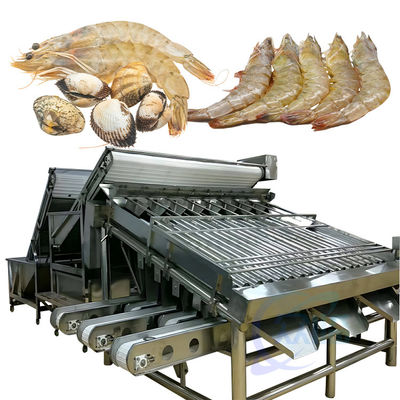 Machine de tri automatique des poissons pour la ligne de transformation des aliments