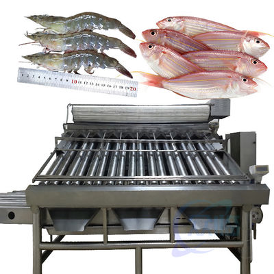 machine automatique de tri du poisson machine de tri de la taille du poisson machine de tri
