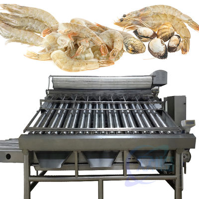 Machine de tri des crevettes, machine de nettoyage et de tri des crevettes, machine de criblage des crevettes après décapage
