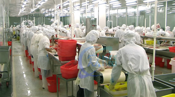 Bon prix Beaucoup de cas Vente à chaud de la machine de pellicule de tilapia 0,75KW La pellicule de tilapia haute stabilité en ligne