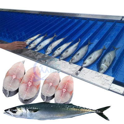 Bon prix Machine de découpe de poisson, machine de découpe de viande d'os automatique à haute efficacité 304 en acier inoxydable peut être de taille personnalisée en ligne