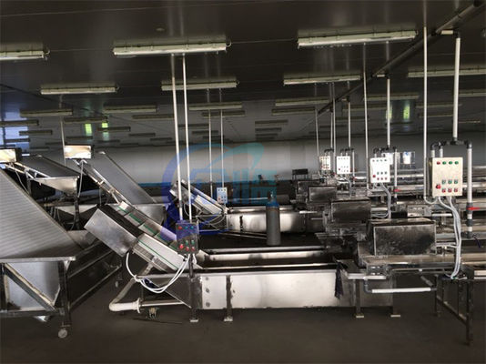 Bon prix Machine à laver à bulles à haute pression de poisson de fruits de mer automatique Machine de nettoyage de crevettes dégeler la bande transporteuse en ligne