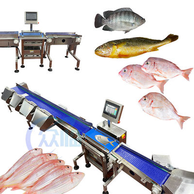 Bon prix Machine de tri des poissons à commande informatique en ligne