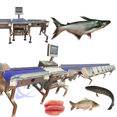 Bon prix Machine de tri des poissons de haute précision SUS 304 classifiante de poissons durable classifiante automatique de poissons en ligne