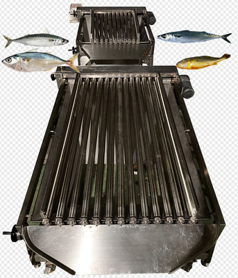 Quatre styles: ligne automatique de classement des poissons pélagiques et ligne de tri des petits poissons