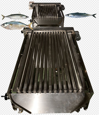Quatre styles, ligne automatique de tri du poisson et machine de tri du maquereau
