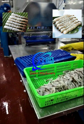 Bon prix La machine automatique Tempura pour étirer les crevettes, la machine NOBASHI, la ligne pour étirer les crevettes en ligne