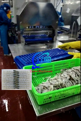 Bon prix 100 pièces de plateau automatique NOBASHI machine et Tempura crevettes machine à étirer en ligne