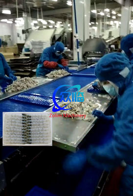 Machine automatique de tempura de haute qualité et bon marché avec machine à étirer les crevettes