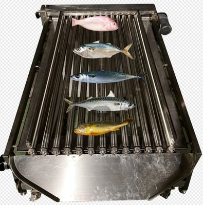 Bon prix Capacité 5 à 10 tonnes/h Machine automatique de tri des poissons, dimensionnement des petits poissons et classement des océans en ligne