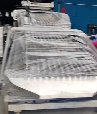 Equipement de tri des poissons à commande PLC personnalisé pour le tri des petits poissons avec automatique