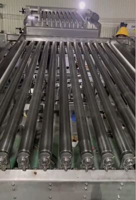 Bon prix Machine de tri des sardines les plus stables, tri des autres petits poissons de grande capacité en ligne