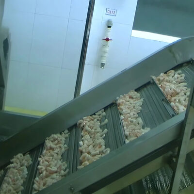 Bon prix Équipement automatique de l'usine de transformation du poisson Stable multi-fonction en ligne