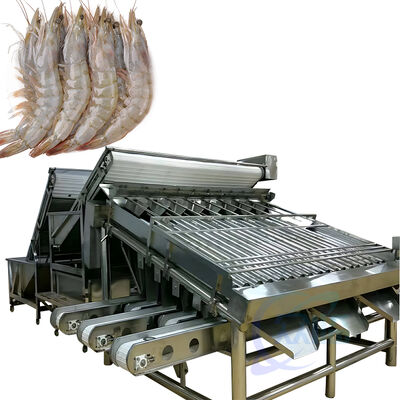 Bon prix Zolim 4.9KW Machine automatique de tri et de tri de crevettes 380V 1000-2000kg/h Capacité de classement à rouleaux anti-érosion en ligne