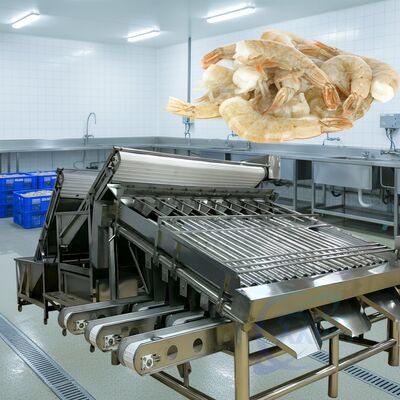 Bon prix Machine de tri des crevettes à rouleaux durables 1500kg-2000kg/h Sorteuse de crevettes à rouleaux à rouleaux à haute stabilité en ligne