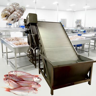 Bon prix Récolte de crevettes d'élevage Machine de tri rapide et de spécification de taille en ligne