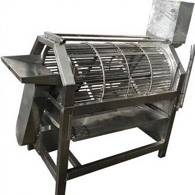 Bon prix Zolim machine de décapage de poisson élimineur de balances électrique 2.2kw machine de balances de poisson équipement de balances de poisson pour usine de poisson en ligne