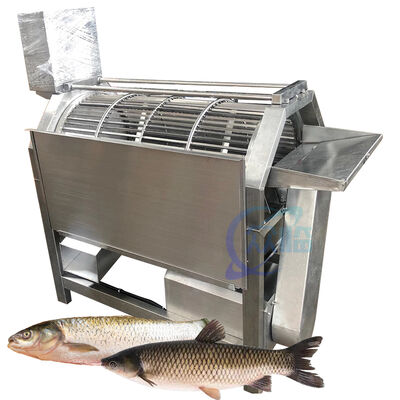 Bon prix Zolim – Machine automatique de détartrage du poisson, pour chaîne de production de transformation du poisson, capacité de 500 à 600 kg/h, 380V en ligne