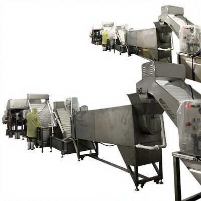 Bon prix Zolim Machine automatique de décapage de crevettes et système de décapage 10.8KW 380V pour la ligne de production de transformation de crevettes en ligne