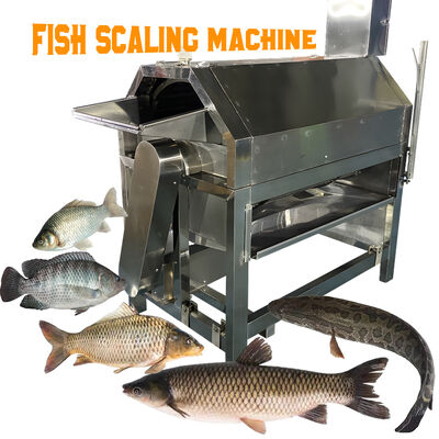 Bon prix Appareils de transformation du poisson en acier inoxydable en ligne