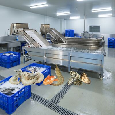 Bon prix Zolim Machine à laver à bulles pour les fruits de mer 2.2kw Machine à nettoyer le poisson Smart Machine à laver les crevettes pour l'usine de transformation des fruits de mer en ligne
