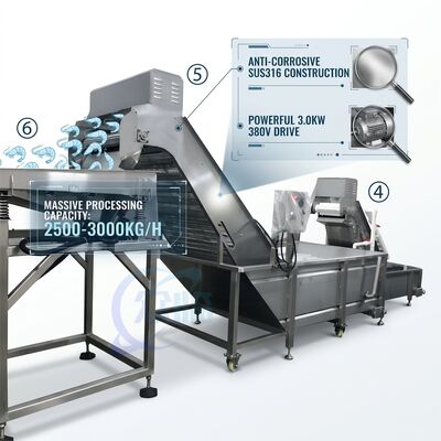 Bon prix Heavy Duty Shrimp Deheading Production Line Precision SUS316 1000-1500KG 11.7KW 415V en ligne