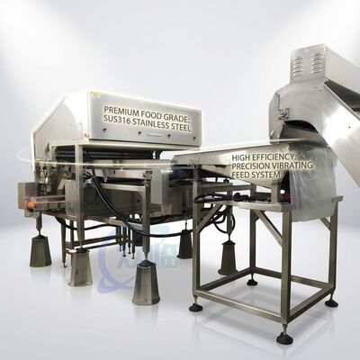 Bon prix Stainless Steel Shrimp Head Removal Machine SUS316L 500-800KG 5.5KW 60Hz For Shrimp Processing Plant en ligne