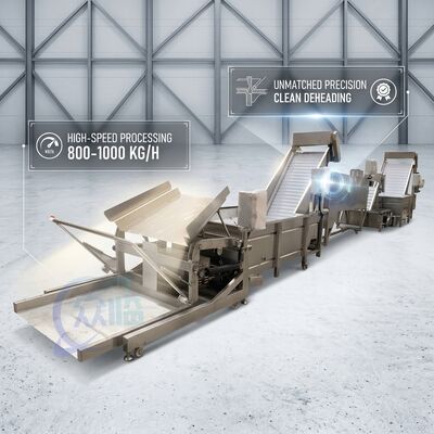 Bon prix SUS316 Shrimp Deheading System Food Grade SUS304 800-1000KG 3.0KW 415V For Fish Processing Plant en ligne