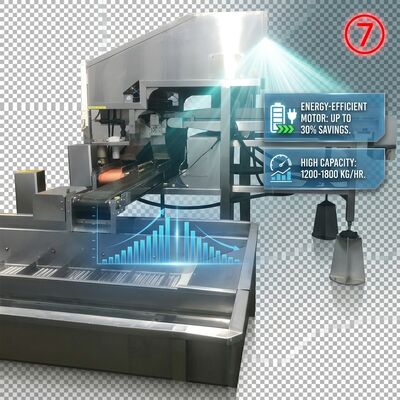 Bon prix 380V Powered Shrimp Head Body Separator Anti Corrosive SUS316 1000-1500KG 9.0KW 440V en ligne