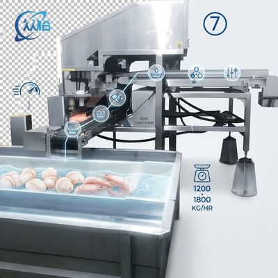 Bon prix High Output Shrimp Processing Machine Hygienic SUS304 500-800KG 0.8KW 220V For Seafood Export Company en ligne