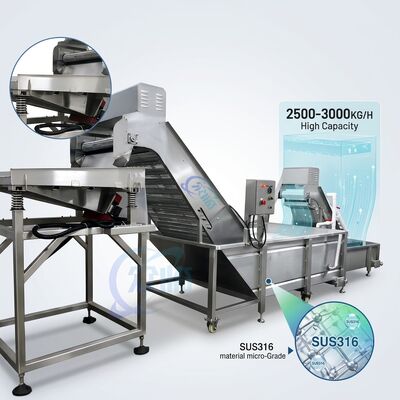 Bon prix Multiscene Shrimp Deheading Sorting Machine SUS304 Stainless Steel 1500-2000KG 3.0KW 380V en ligne