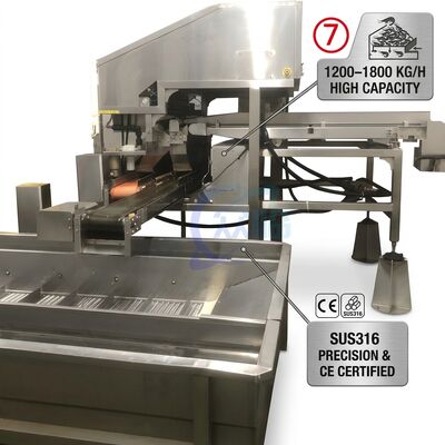 Bon prix Long Life Automatic Shrimp Deheading System SUS316L 2000-2500KG 3.0KW 415V For Catering Factory en ligne