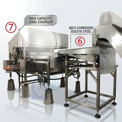 Bon prix Efficient Shrimp Deheading Production Line Precision SUS316 1500-2000KG 7.5KW 415V en ligne