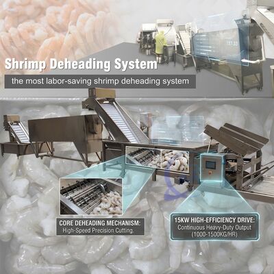 Bon prix Factory Direct Shrimp Head Removal System 316L Stainless Steel 800-1000KG 0.8KW 220V en ligne