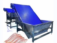 Machine automatique de classement des poissons 4900W Antiérode polyvalente