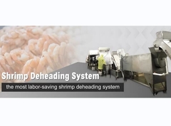 Machine à décaper les crevettes industrielles SUS316 Durable pour couper la tête