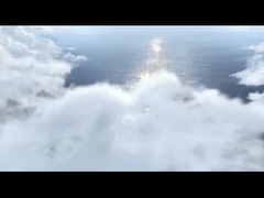 déveineur de crevettes