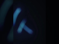 Machine de tri de la taille de la crevette Nettoyage et transformation de l'écaille du poisson