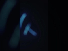 SUS304 Appareil de nettoyage pratique de crevettes, séparateur de déchets de crevettes polyvalent